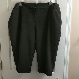 Career capri pants 24w